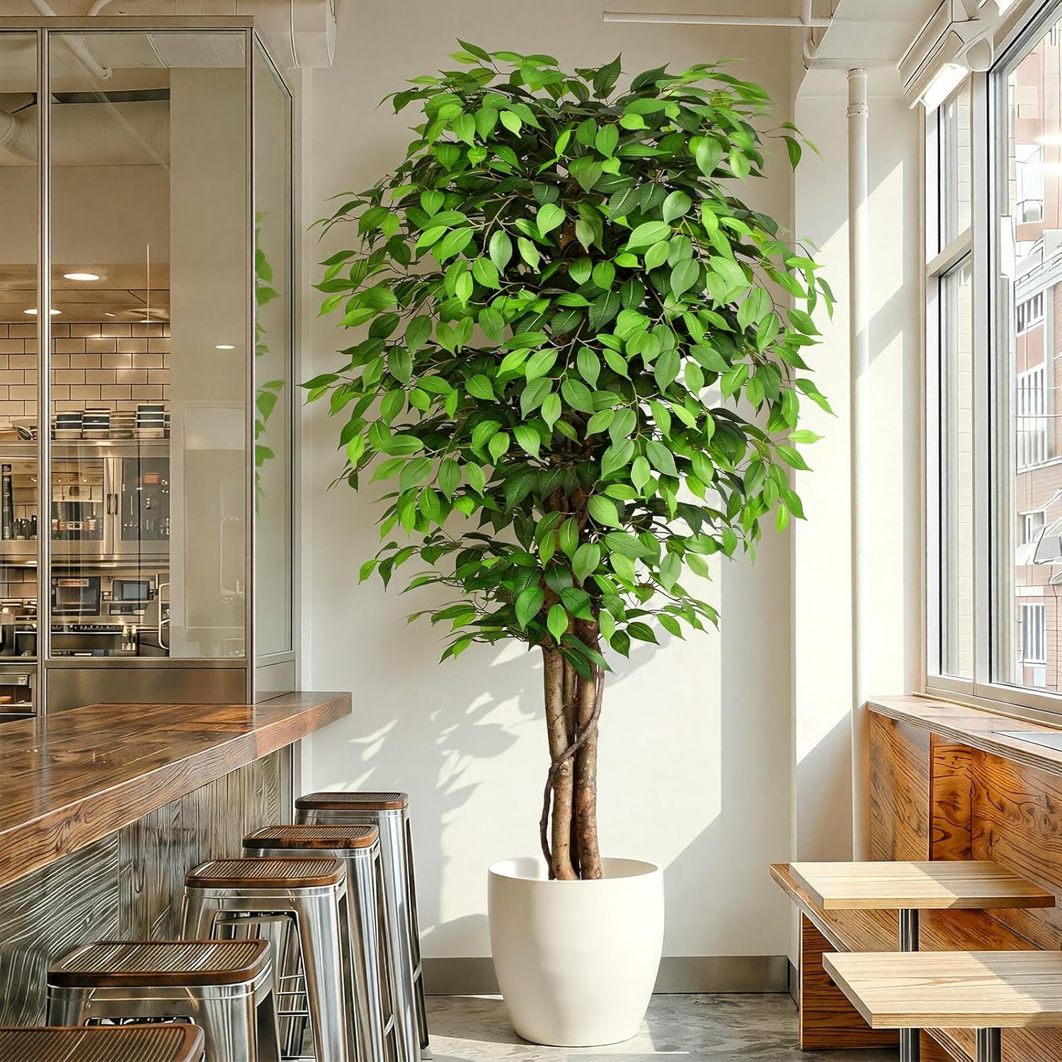 Fiddle Leaf Fig - Cây sung nhân tạo trông như