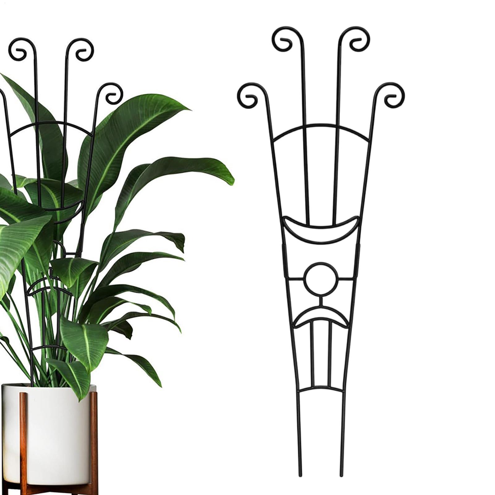Plant Support Stake - Plant Trellis Metal Plant Support Pothos