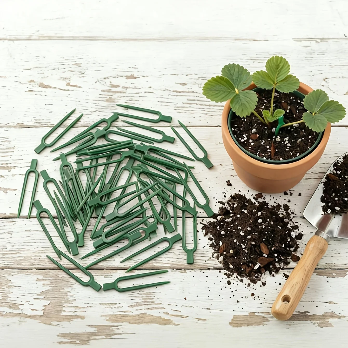 Plant Support Stake - 50pcs Plastic Plant Vine Spreader Forks