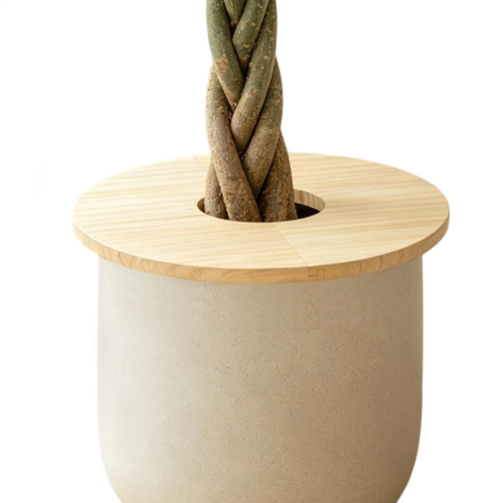 Flower Pot Covers Wooden Split - đánh giá và giá Terracotta Pot