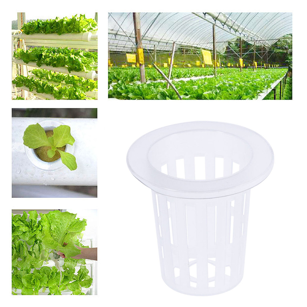 10pcs Hydroponic Vegetable Net - đánh giá và giá Plant Pot
