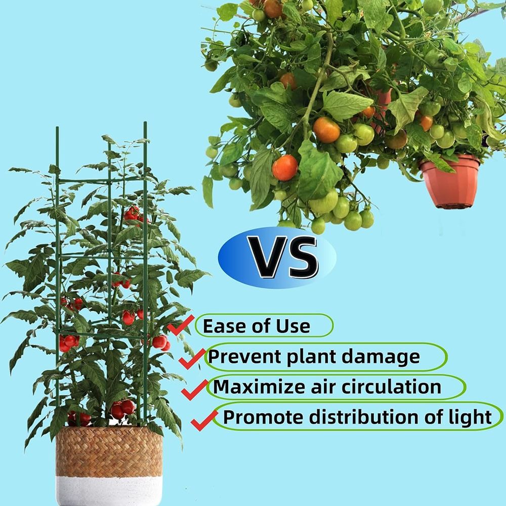 Plant Stake Arms for Tomato Ca - đánh giá và giá Plant Support Stake