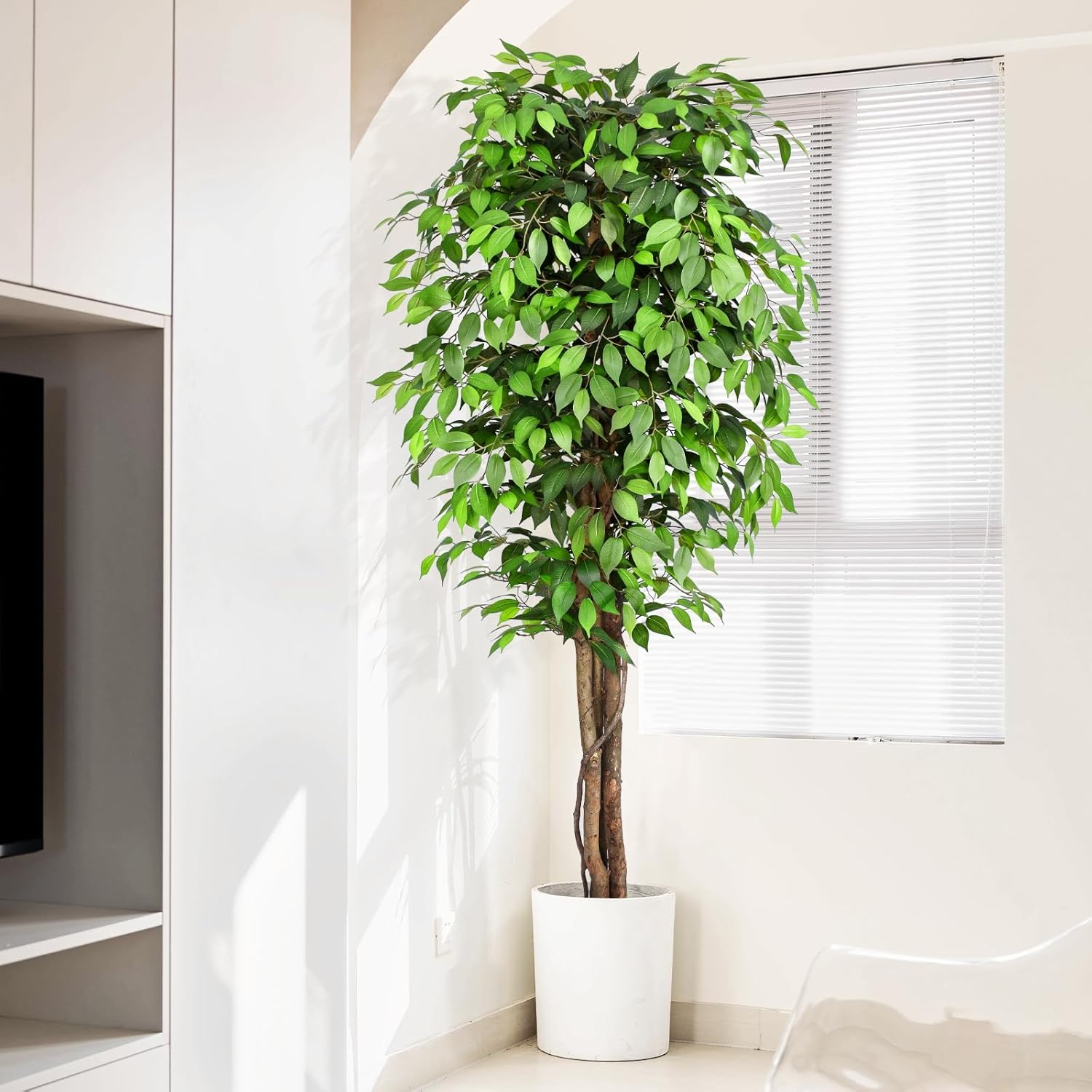 Cây sung nhân tạo trông như câ - đánh giá và giá Fiddle Leaf Fig