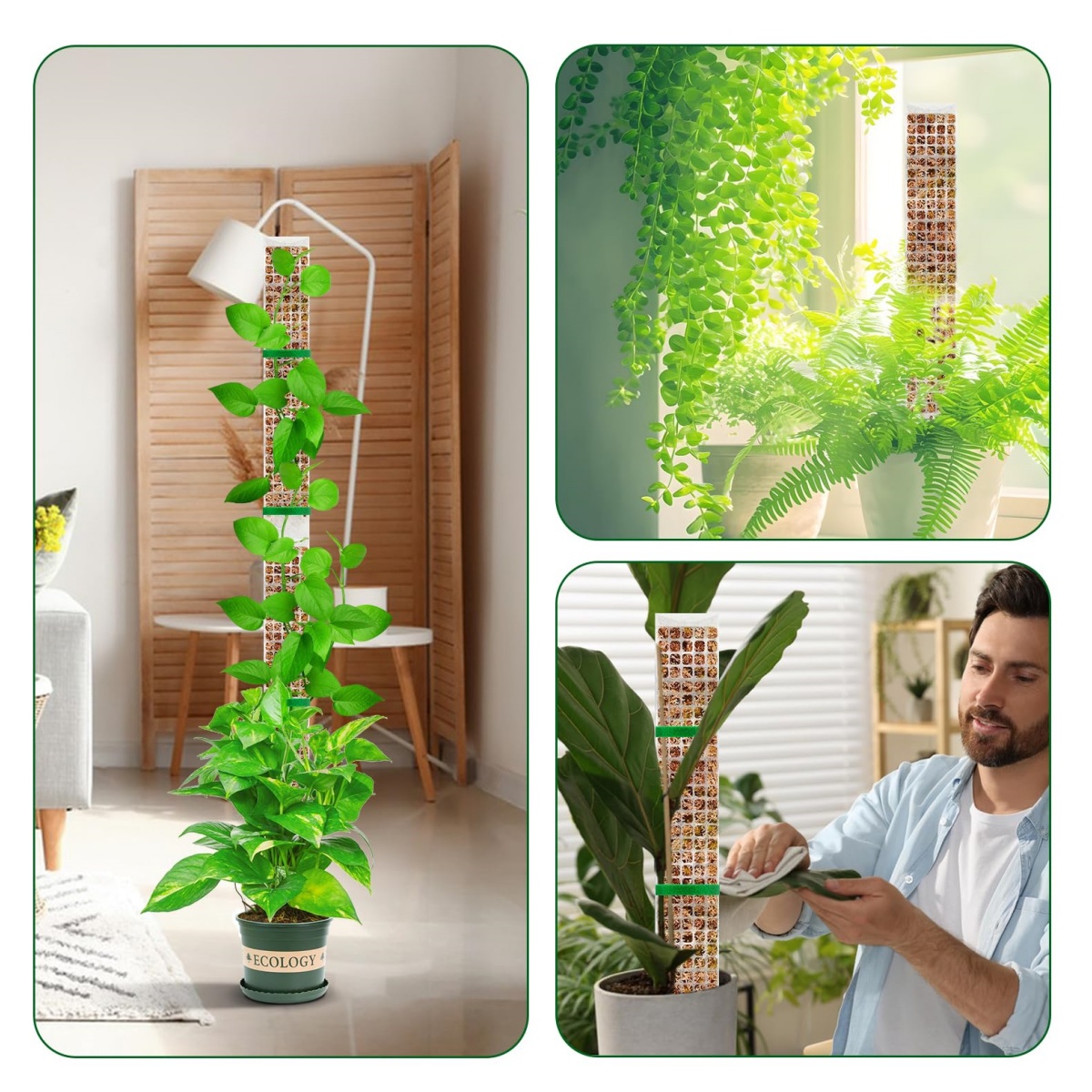 Stackable Plastic Moss Pole fo - đánh giá và giá Plant Support Stake