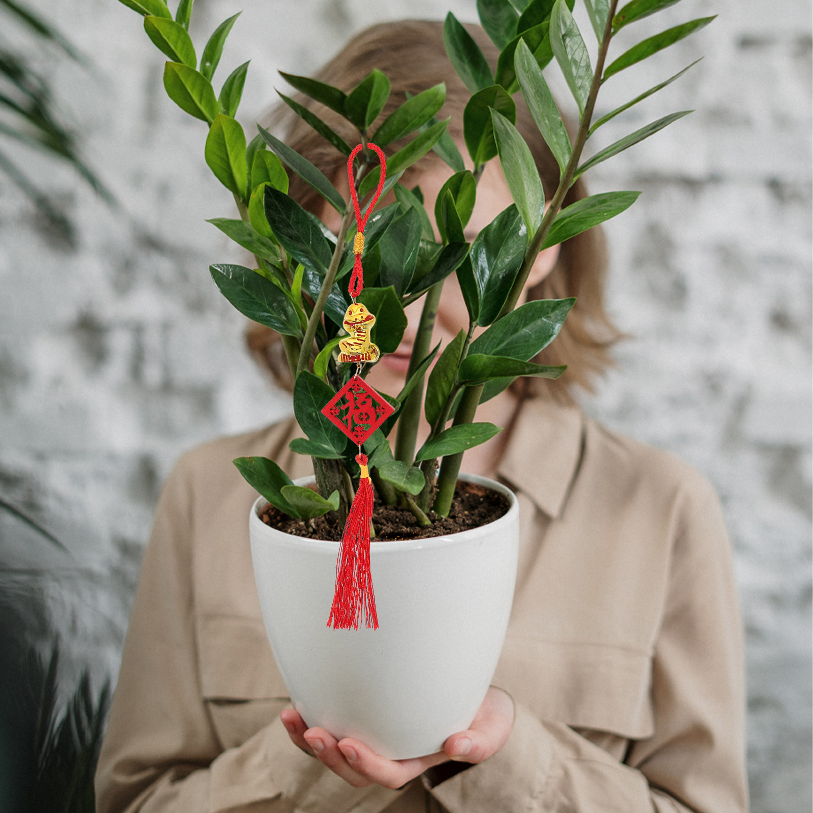 5Pcs Year of The Snake 2025 Wo - đánh giá và giá Snake Plant