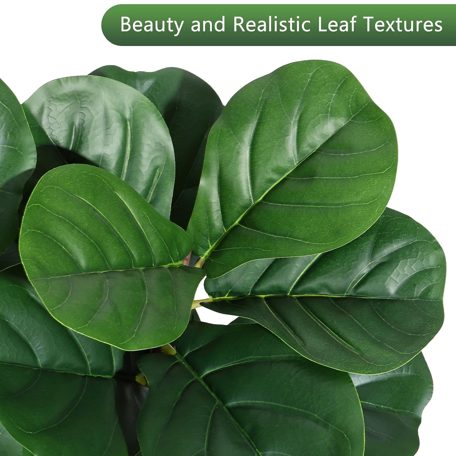 4 ft Fiddle Leaf Fig Tree Arti - đánh giá và giá Fiddle Leaf Fig