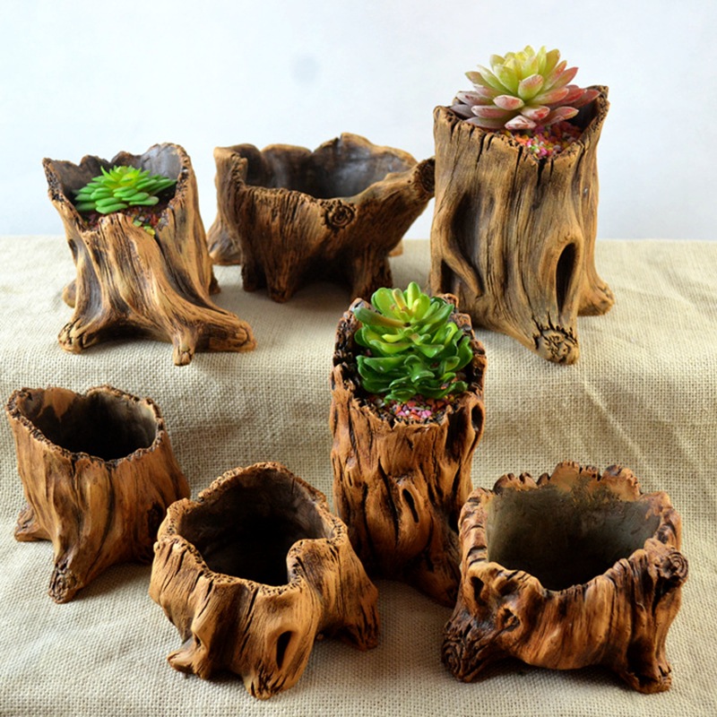 Imitation Wooden Stakes Tree R - đánh giá và giá Succulent Set