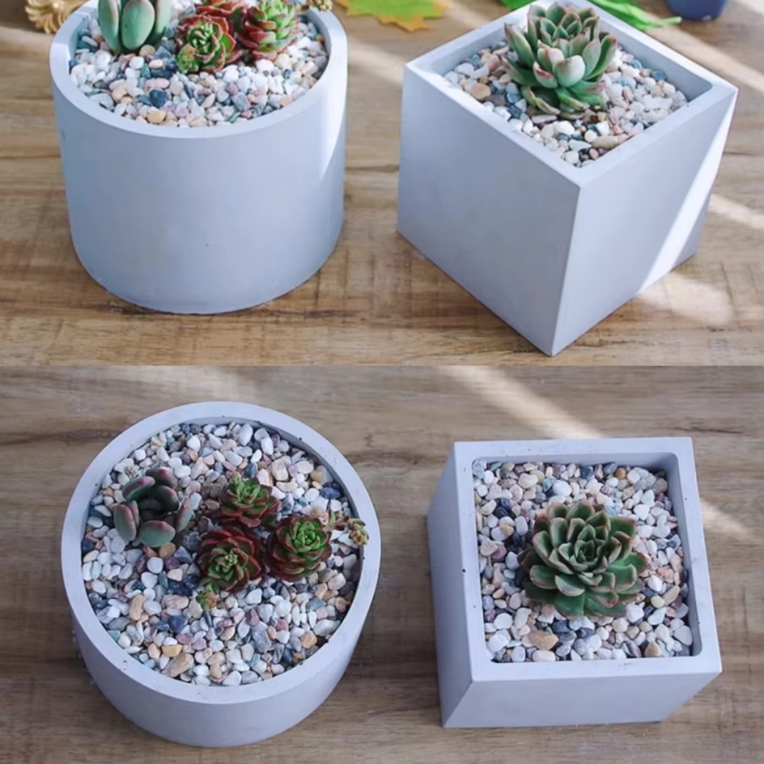 15cm Large Size Round Concrete - đánh giá và giá Succulent Set