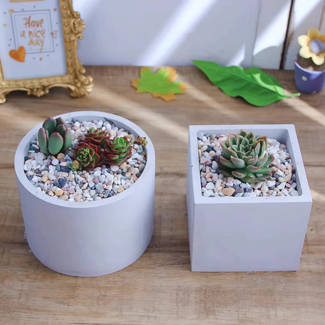 15cm Large Size Round Concrete - đánh giá và giá Succulent Set