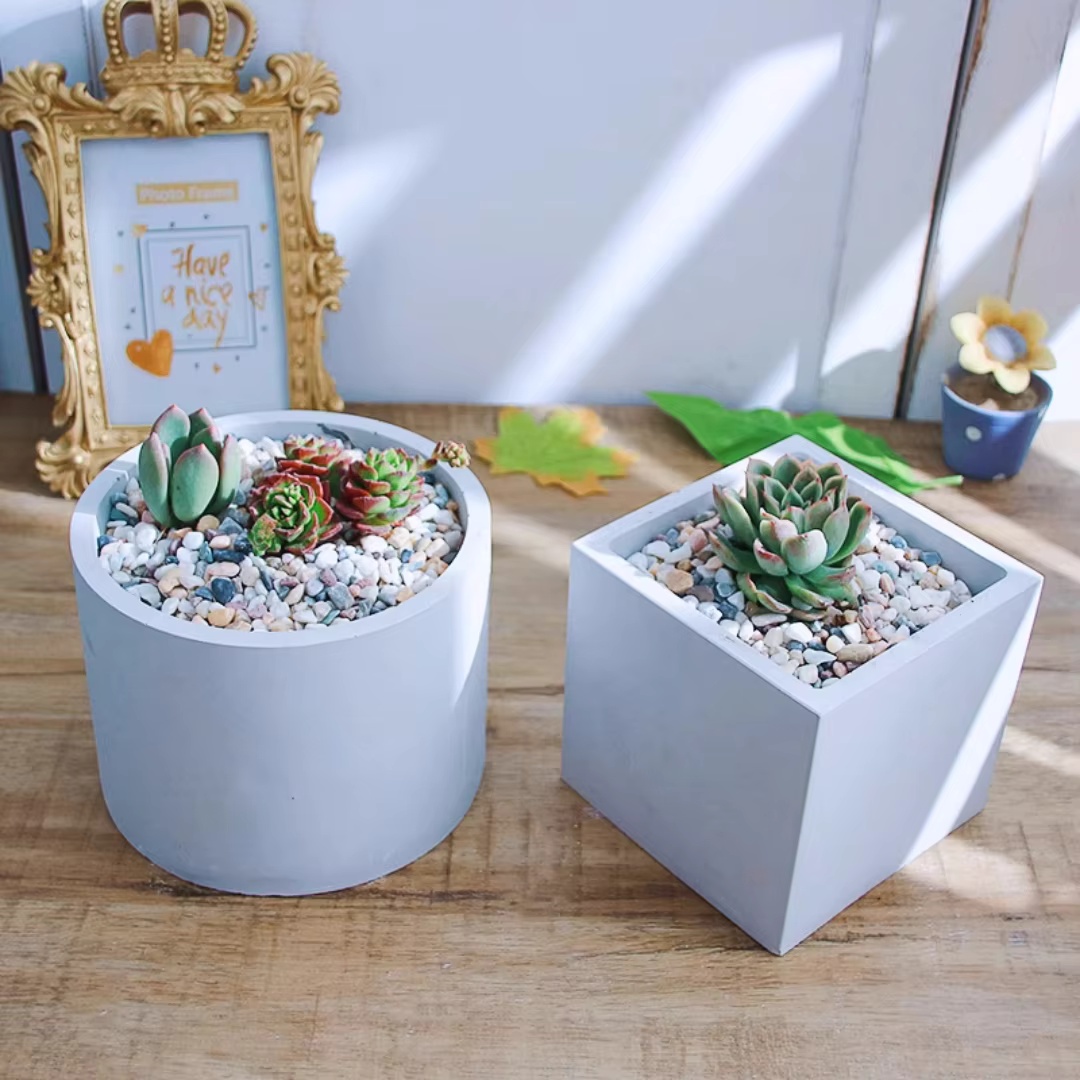 15cm Large Size Round Concrete - đánh giá và giá Succulent Set
