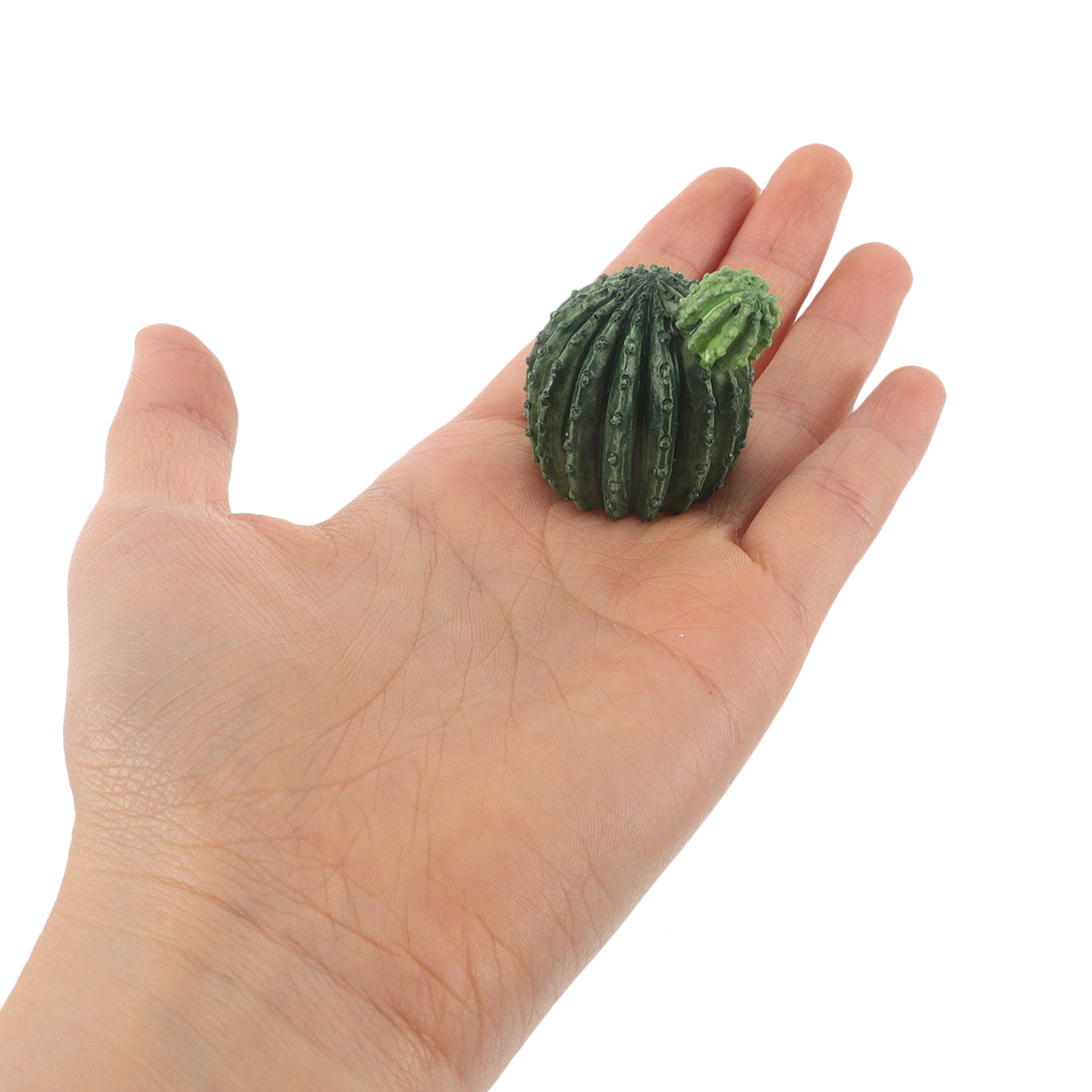 Mini Resin Cactus Succulent Pl - đánh giá và giá Succulent Set