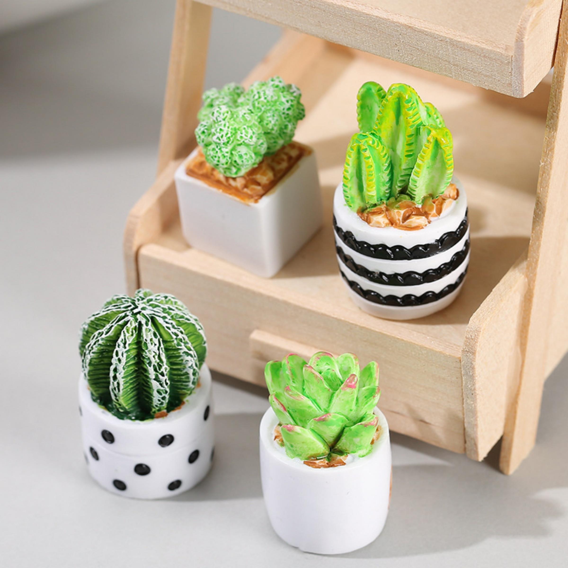 4-Piece Set of Cactus Succulen - đánh giá và giá Succulent Set