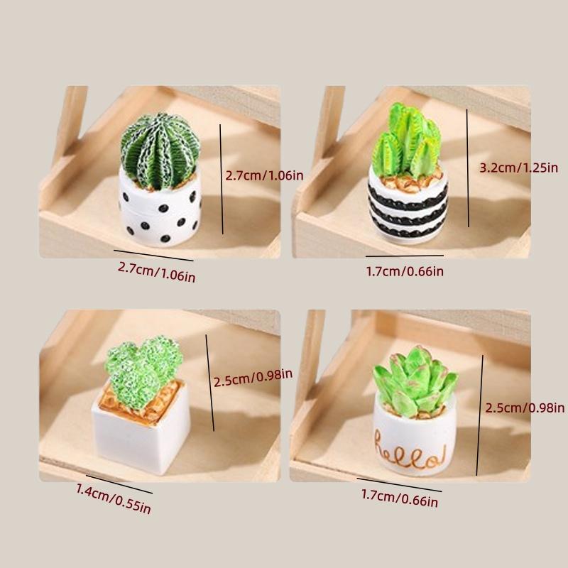 4-Piece Set of Cactus Succulen - đánh giá và giá Succulent Set