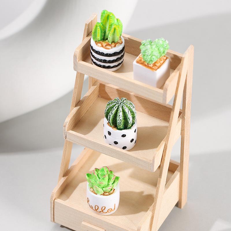 4-Piece Set of Cactus Succulen - đánh giá và giá Succulent Set