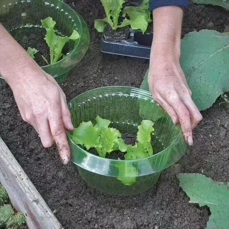 Plants Slug Protection Rings V - đánh giá và giá Terracotta Pot