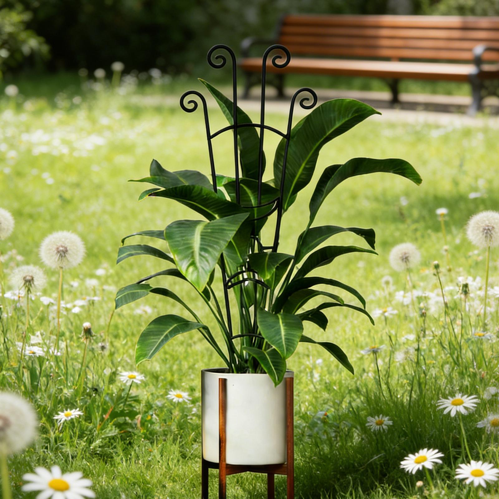 Plant Trellis Metal Plant Supp - đánh giá và giá Plant Support Stake