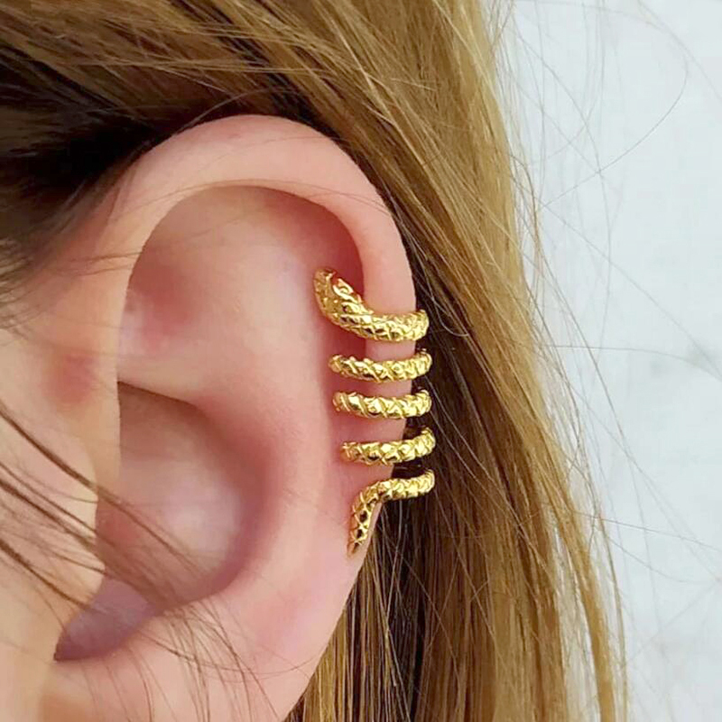 1PC Plated 24K Gold Vintage Cr - đánh giá và giá Snake Plant