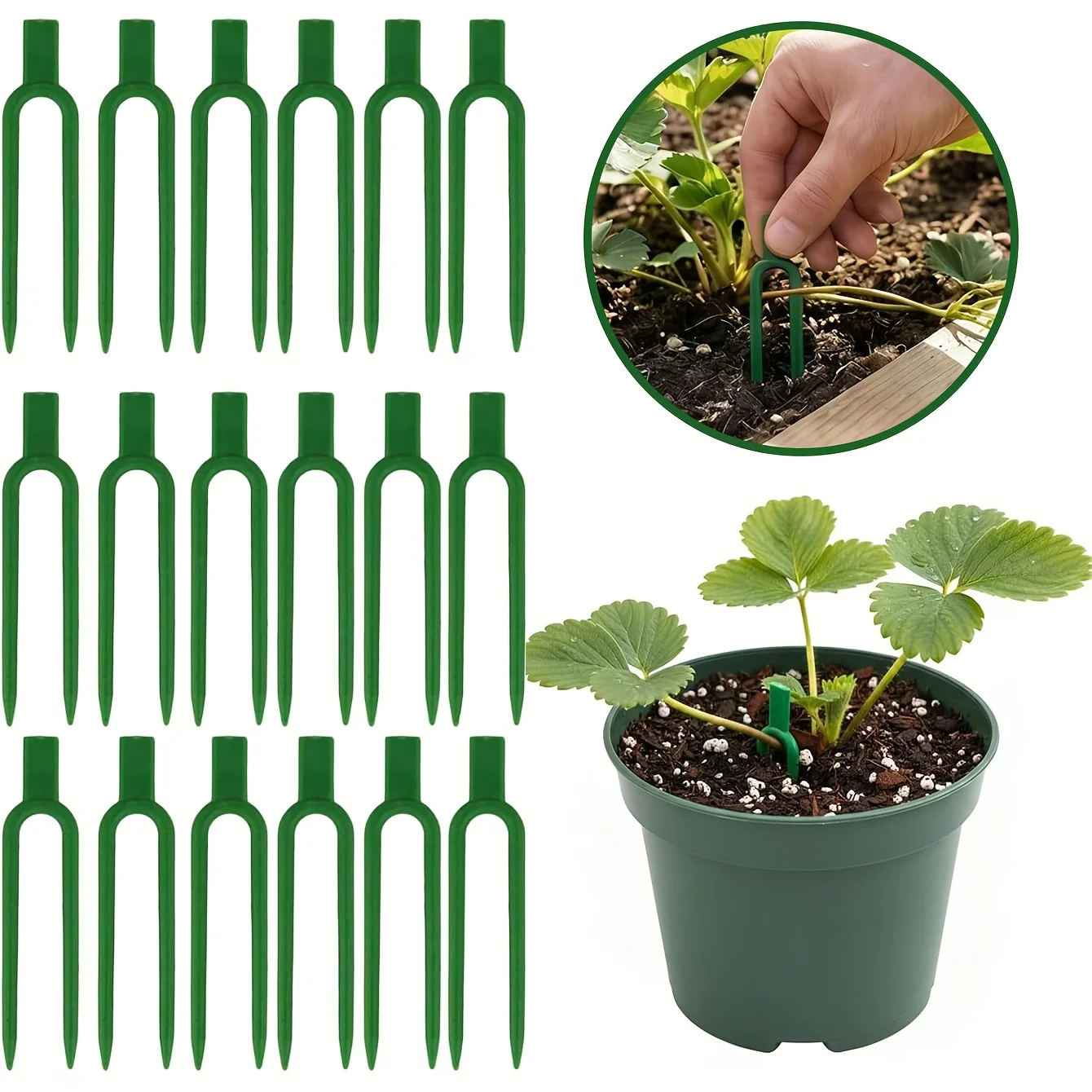 50pcs Plastic Plant Vine Sprea - đánh giá và giá Plant Support Stake